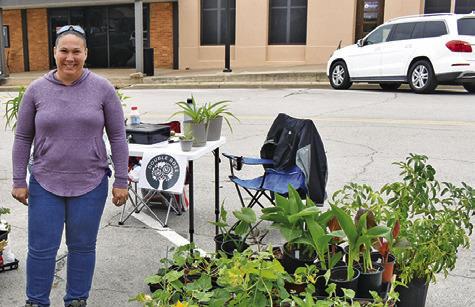MORANDA KRAKAW of Double Rose LLC displays these plants on Saturday, March 28, at the Farmers Market in downtown Caldwell.