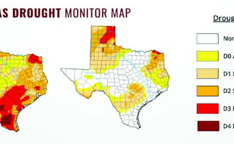 THE DROUGHT MONITOR MAPS for March 24 and June 25 illustrate how rainfall has shifted drought conditions across the state. On March 24, 99% of the state was experiencing some level of drought and the June 25 map shows how conditions improved in most areas and worsened in others. Photo courtesy of U.S. Drought Monitor