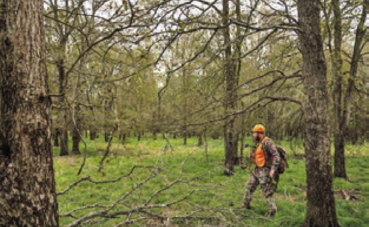 INFORMATION FROM available population surveys and precipitation trends across much of the state indicate hunters can anticipate an average-togood fall hunting season across key game species. Photo courtesy of Courtney Sacco/ Texas A&amp;M AgriLife