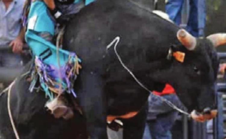 LANCE LARA COMPETES in the J-Rich Memorial Bull Riding Benefit where he received the highest marked score in the long round.