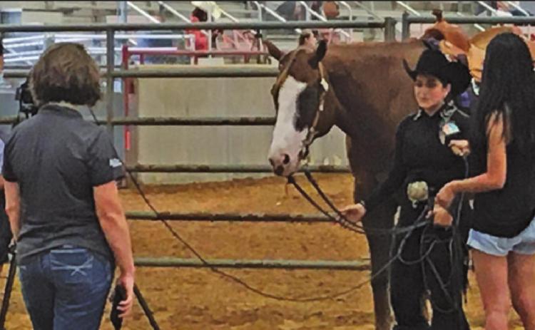 CALDWELL’S SABINE LAZO is currently competing in the Texas State 4-H Horse Show with her horse The Ultimate Attitude, otherwise known as “Cooper.” The show began on Saturday and ends this Friday.