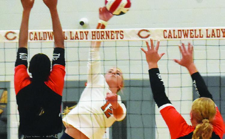 CALDWELL’S ABBY VOGLER hits the ball between two Smithville blockers during the Lady Hornets’ win over the Lady Tigers on Friday. Tribune photo by Roy Sanders