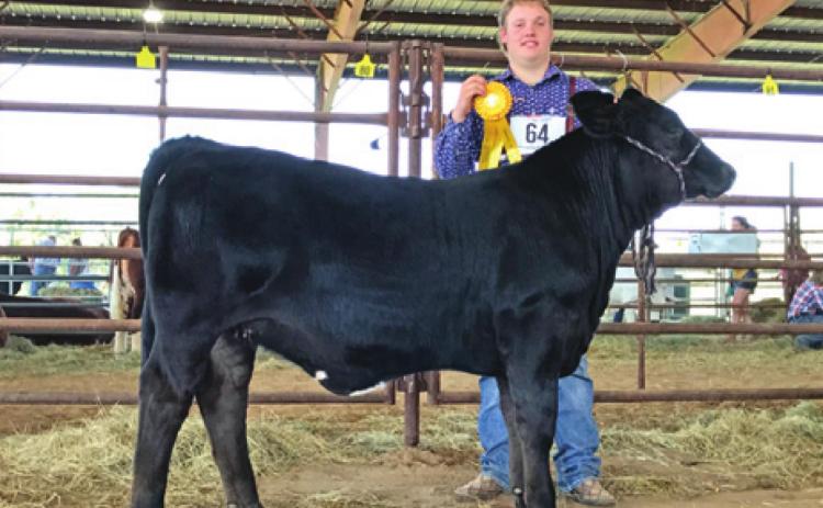 SETH GROCE OF Snook FFA placed second in his class of Simbrah heifers at the Heat O’ Texas Fair &amp; Rodeo in Waco.