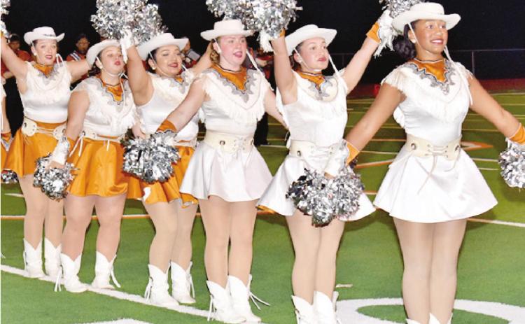 THE CALDWELL HIGH School Honeybees
