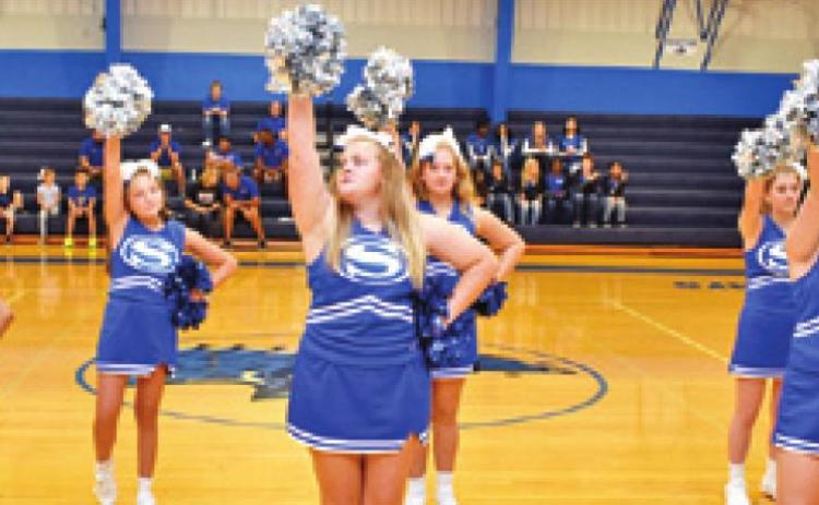 MEET THE BLUEJAYS