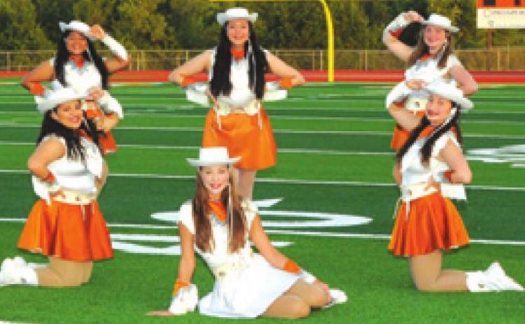 THE 2020-2021 CHS HONEYBEES