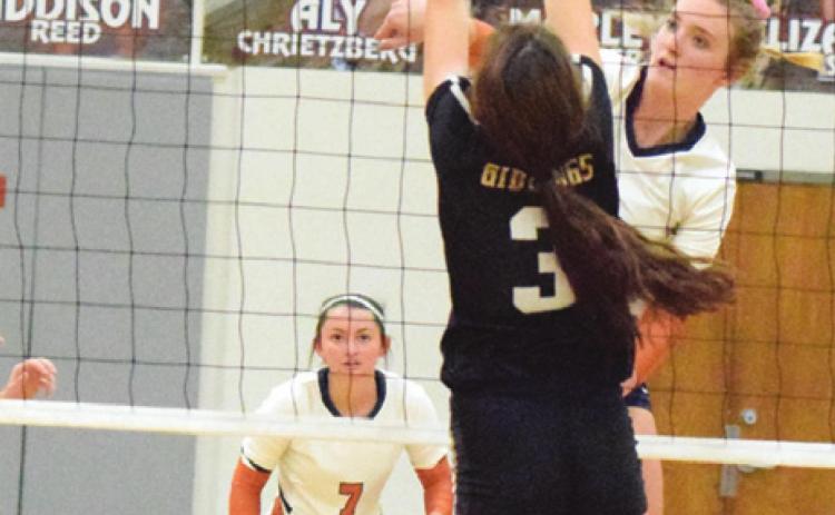 CALDWELL’S ELIZABETH SEE will be a player to watch this season as the Lady Hornets begin playing in District 19-3A. The Tribune announced its predictions for the area volleyball teams, with Caldwell winning District 19-3A. -- Tribune photo by Denise Hornaday