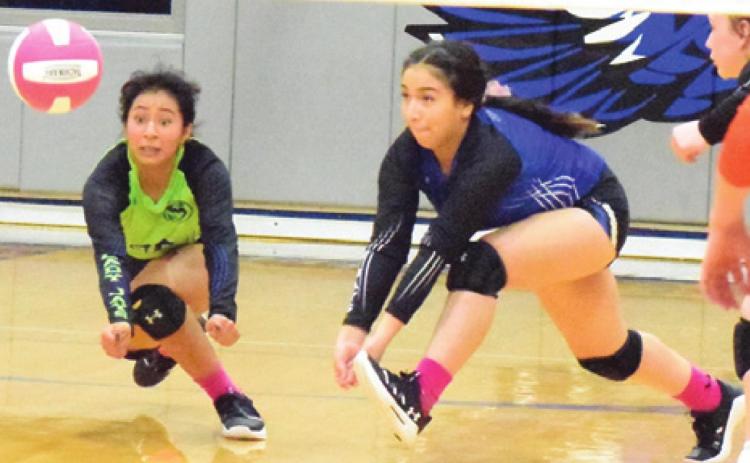 SNOOK’S FRIDA MOTA and Nadio Garcia dive for the ball during the Lady Jays’ match against Somerville. -- Tribune photo by Denise Squier