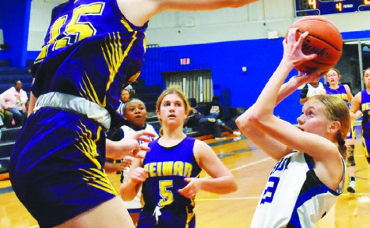 SNOOK’S DAKOTA KIENOW looks to take a shot while a Weimar player attempts to block her shot during last Friday’s Snook-Weimar game in Snook. The Lady Jays fell to the Lady Wildcats 33-17.