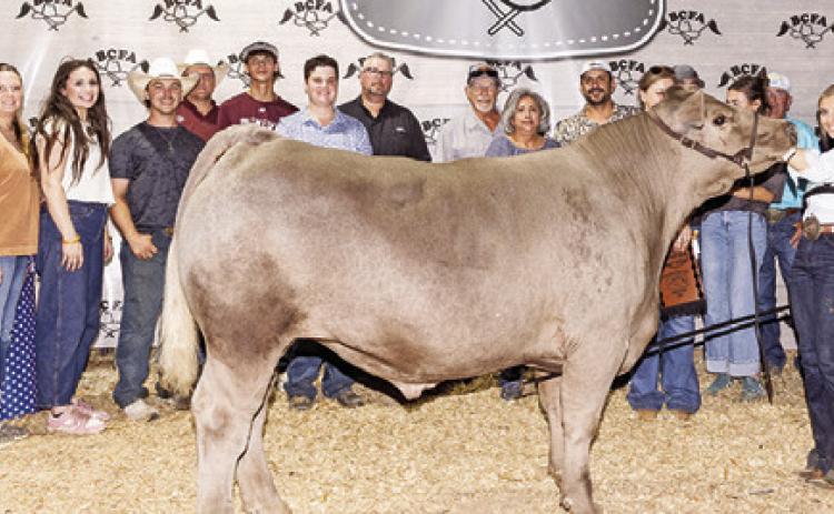 MADALYN FAUST EXHIBITED THE Grand Champion Market Steer at the 2026 Burleson County Fair. She is pictured with Ryan Smejkal, Tori Smejkal, Jeaghan Eckelberg, Jake Hibbeler, James Peiper, Aiden Melson, Duke Groeschke, David Groeschke, Albert Faust, Debra Faust, Brandon Faust, Kristine Faust, Westyn Hughes, Aly Hughes, Mick from Australia, Fair Queen Jolee Telschow and Little Miss Irene Kovar. Photo courtesy of Jessica Jeffries/Jeffries Livestock Marketing
