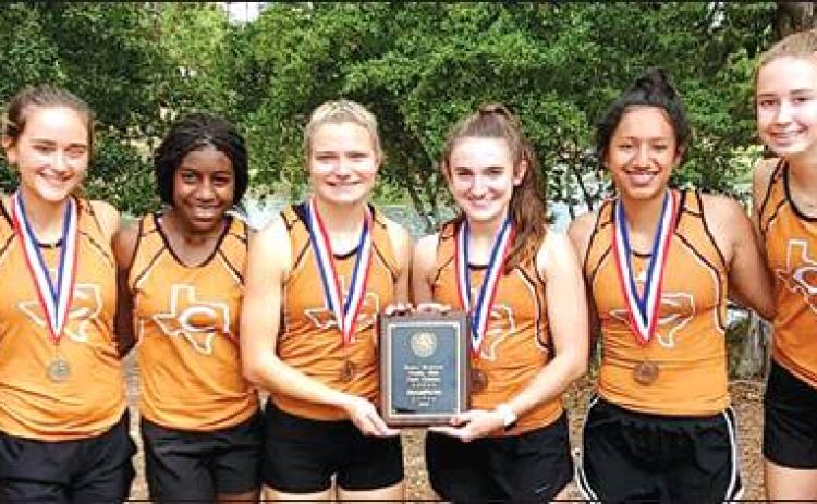 Lady Hornet cross country wins district for the 3rd straight year