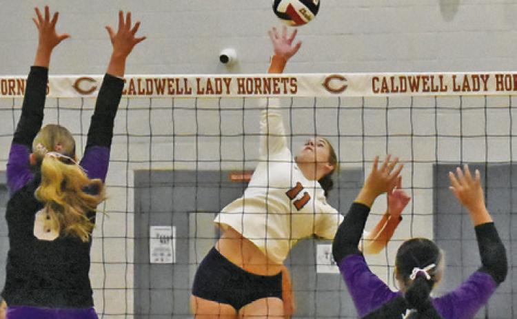 CALDWELL’S LYDIA GIESE goes airborne to get a kill for the Lady Hornets against Thrall last Friday night at Hornet Gym. Tribune photo by Roy Sanders