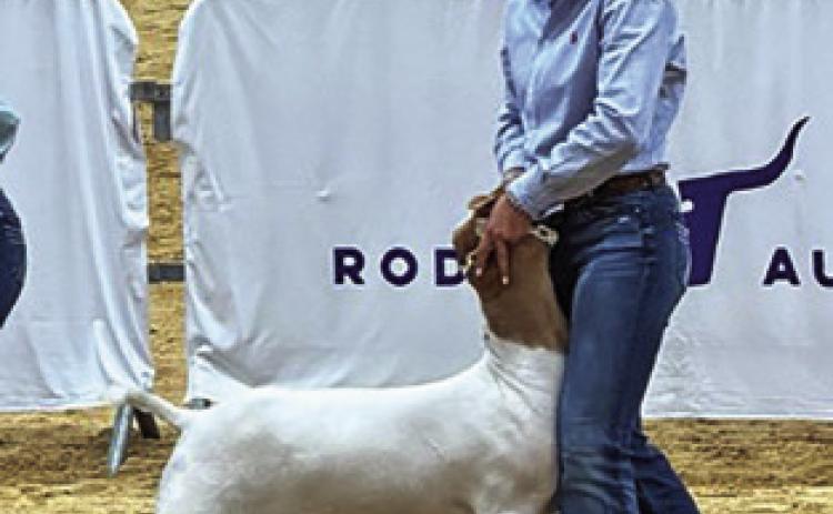 KYLIE VOGLER, CALDWELL FFA, showed in the Commercial Doe class at SALE and placed eighth in the Market Goat class at Rodeo Austin. Photo courtesy of Abigail Wolski
