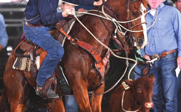 CAMERON SUEHS QUALIFIED for the 2021 Mike and Sherrylynn Johnson Vegas Tuffest Jr. World Championship to be held in Las Vegas in December. -- Photo courtesy of Jennings Rodeo Photography